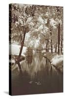 Water Under the Bridge-Ily Szilyagi-Stretched Canvas