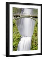 Water Under the Bridge-Douglas Taylor-Framed Premium Photographic Print