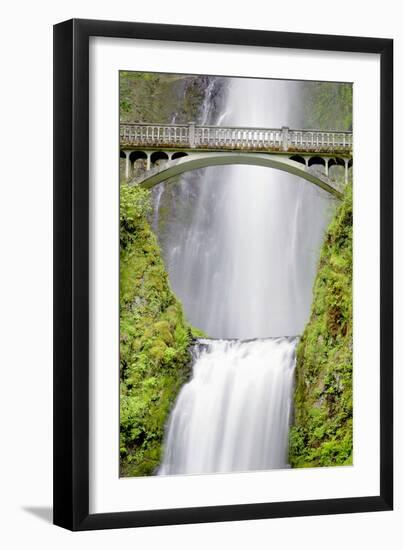 Water Under the Bridge-Douglas Taylor-Framed Premium Photographic Print