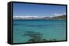 Water View, Ille Rousse, La Balagne, Corsica, France-Walter Bibikow-Framed Stretched Canvas