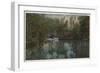 Water View of Tomoka River & Marsh, Florida - Florida-Lantern Press-Framed Art Print