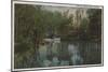 Water View of Tomoka River & Marsh, Florida - Florida-Lantern Press-Mounted Art Print