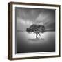 Water VIII-Moises Levy-Framed Photographic Print