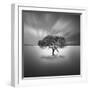 Water VIII-Moises Levy-Framed Photographic Print