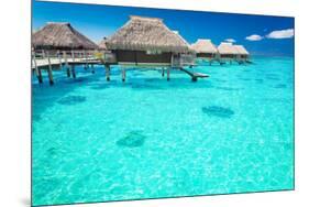 Water Villas in the Ocean with Steps into Turquoise Lagoon-Martin Valigursky-Mounted Photographic Print