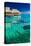 Water Villas over Tropical Coral Reef-Martin Valigursky-Stretched Canvas