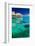 Water Villas over Tropical Coral Reef-Martin Valigursky-Framed Photographic Print