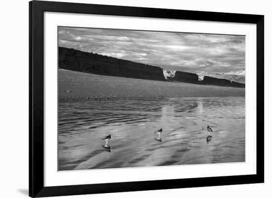 Water Waders-Andrew Geiger-Framed Giclee Print