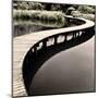 Water Walkway-Eric Chan-Mounted Art Print