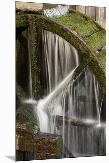Water Wheel, Cable Mill, Cades Cove, Great Smoky Mountains National Park, Tennessee-Adam Jones-Mounted Premium Photographic Print