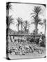 Water Wheel, Egypt, C1890-Newton & Co-Stretched Canvas