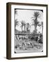 Water Wheel, Egypt, C1890-Newton & Co-Framed Photographic Print