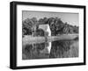 Water Wheel on the Boone Plantation, Owned by Thomas A. Stone-null-Framed Photographic Print