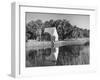 Water Wheel on the Boone Plantation, Owned by Thomas A. Stone-null-Framed Photographic Print