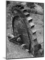 Water Wheel-Brenda Petrella Photography LLC-Mounted Giclee Print