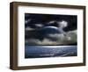 Water World-null-Framed Photographic Print