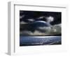 Water World-null-Framed Photographic Print