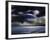 Water World-null-Framed Photographic Print