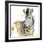 Water Zebra with Gold-Patricia Pinto-Framed Art Print