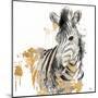 Water Zebra with Gold-Patricia Pinto-Mounted Art Print