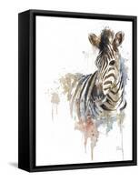 Water Zebra-Patricia Pinto-Framed Stretched Canvas