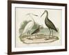 Waterbird Trio I-Alexander Wilson-Framed Art Print