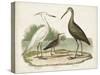 Waterbird Trio I-Alexander Wilson-Stretched Canvas