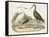 Waterbird Trio I-Alexander Wilson-Framed Stretched Canvas