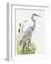 Waterbirds & Cattails I-Naomi McCavitt-Framed Art Print