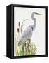 Waterbirds & Cattails I-Naomi McCavitt-Framed Stretched Canvas