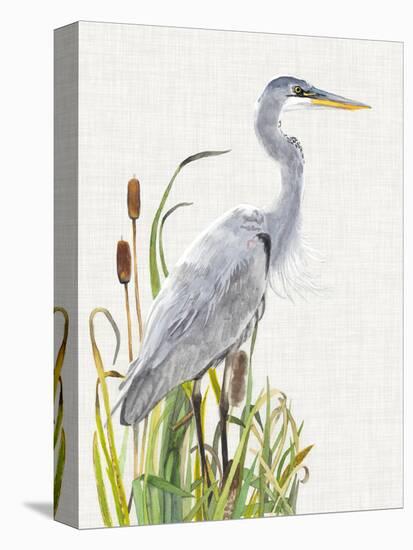 Waterbirds & Cattails I-Naomi McCavitt-Stretched Canvas