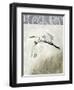 Waterbirds in Mist II-Naomi McCavitt-Framed Art Print