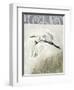 Waterbirds in Mist II-Naomi McCavitt-Framed Art Print