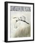 Waterbirds in Mist II-Naomi McCavitt-Framed Art Print
