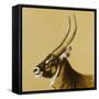 waterbuck, 2014-Francesca Sanders-Framed Stretched Canvas