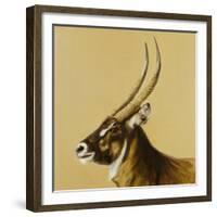 waterbuck, 2014-Francesca Sanders-Framed Giclee Print