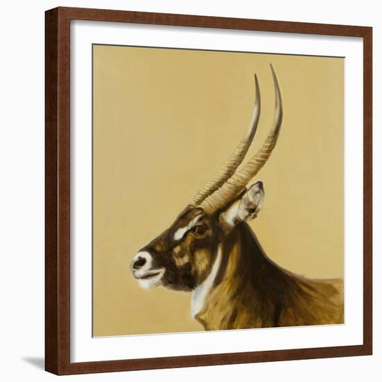 waterbuck, 2014-Francesca Sanders-Framed Giclee Print