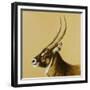 waterbuck, 2014-Francesca Sanders-Framed Giclee Print