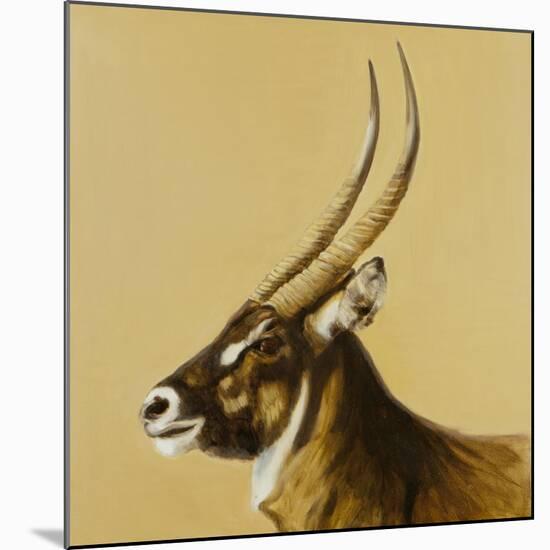 waterbuck, 2014-Francesca Sanders-Mounted Giclee Print