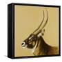 waterbuck, 2014-Francesca Sanders-Framed Stretched Canvas