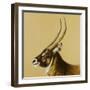 waterbuck, 2014-Francesca Sanders-Framed Giclee Print