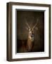 Waterbuck Antelope-Jai Johnson-Framed Giclee Print