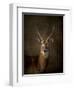 Waterbuck Antelope-Jai Johnson-Framed Giclee Print