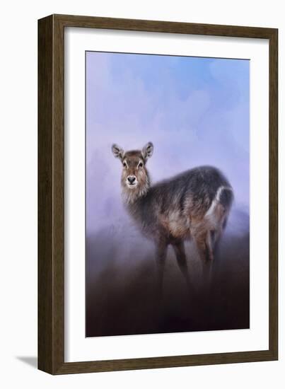 Waterbuck in Winter-Jai Johnson-Framed Giclee Print