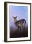 Waterbuck in Winter-Jai Johnson-Framed Giclee Print