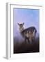 Waterbuck in Winter-Jai Johnson-Framed Giclee Print