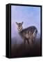 Waterbuck in Winter-Jai Johnson-Framed Stretched Canvas