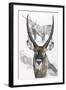 Waterbuck-Barbara Keith-Framed Giclee Print