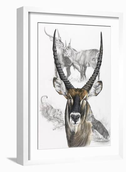 Waterbuck-Barbara Keith-Framed Giclee Print