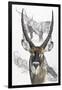 Waterbuck-Barbara Keith-Framed Giclee Print